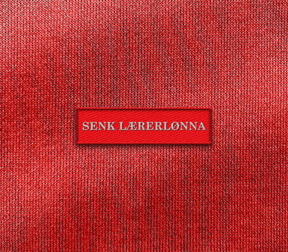 Senk lærerlønna patch